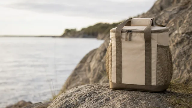 Kjølebag